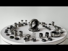 Sostituire Grundfos GLF-SPK-12mm SPK 2/4 pompa climatizzata sigillo meccanico