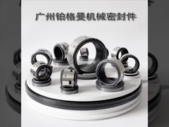 John Crane 502 pompa d'acqua sigillo meccanico 100 mm per pompe industriali