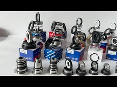 EA560D Pompa Burgmann Sigillo meccanico WQ sommergibile sbilanciato